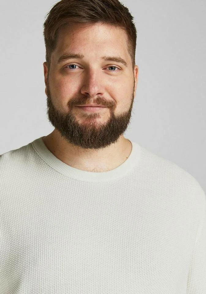 Rabatt 🔔 Jack & Jones Rundhalspullover »ARON« Bis Größe 6XL Schwarz, Offwhite, Bordeaux 🛒 3 Rabatt 🔔 Jack & Jones Rundhalspullover »ARON« Bis Größe 6XL Schwarz, Offwhite, Bordeaux 🛒 – Bild 3