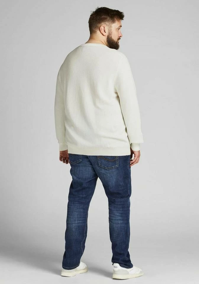 Rabatt 🔔 Jack & Jones Rundhalspullover »ARON« Bis Größe 6XL Schwarz, Offwhite, Bordeaux 🛒 2 Rabatt 🔔 Jack & Jones Rundhalspullover »ARON« Bis Größe 6XL Schwarz, Offwhite, Bordeaux 🛒 – Bild 2