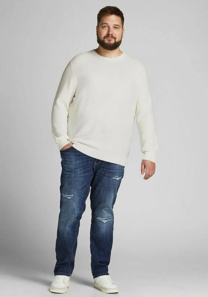 Rabatt 🔔 Jack & Jones Rundhalspullover »ARON« Bis Größe 6XL Schwarz, Offwhite, Bordeaux 🛒 5 Rabatt 🔔 Jack & Jones Rundhalspullover »ARON« Bis Größe 6XL Schwarz, Offwhite, Bordeaux 🛒 – Bild 5