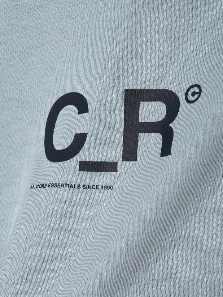 Coupon 🥰 Jack & Jones T-Shirt Hellgrau, Weiß, Schwarz, Hellblau ❤️ 3 Coupon 🥰 Jack & Jones T-Shirt Hellgrau, Weiß, Schwarz, Hellblau ❤️ – Bild 3